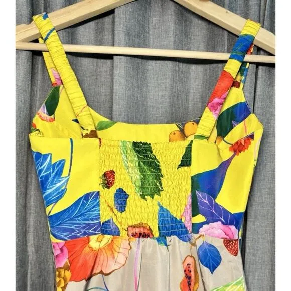 Tuckernuck Vivid Jardin Dominique Midi Floral Dress size XXS NWT